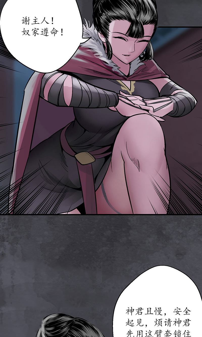 藏锋行将军手谕