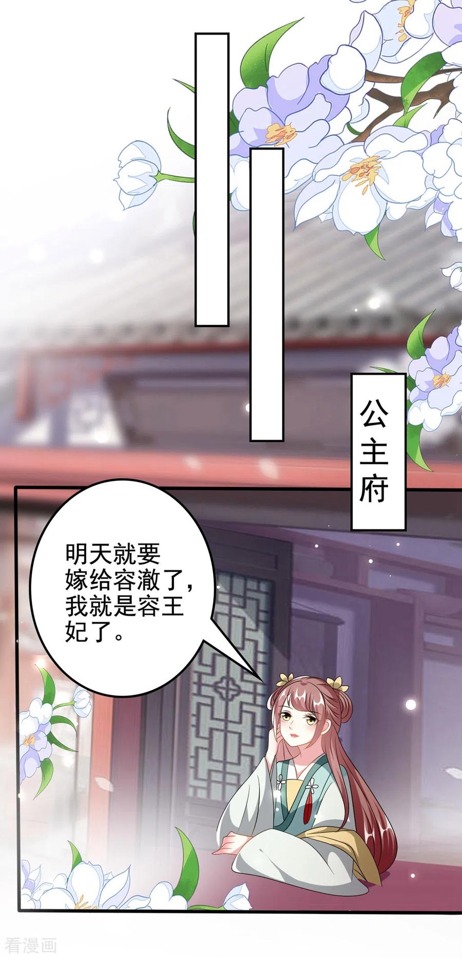 坏心王爷别惹我205话 公主大婚