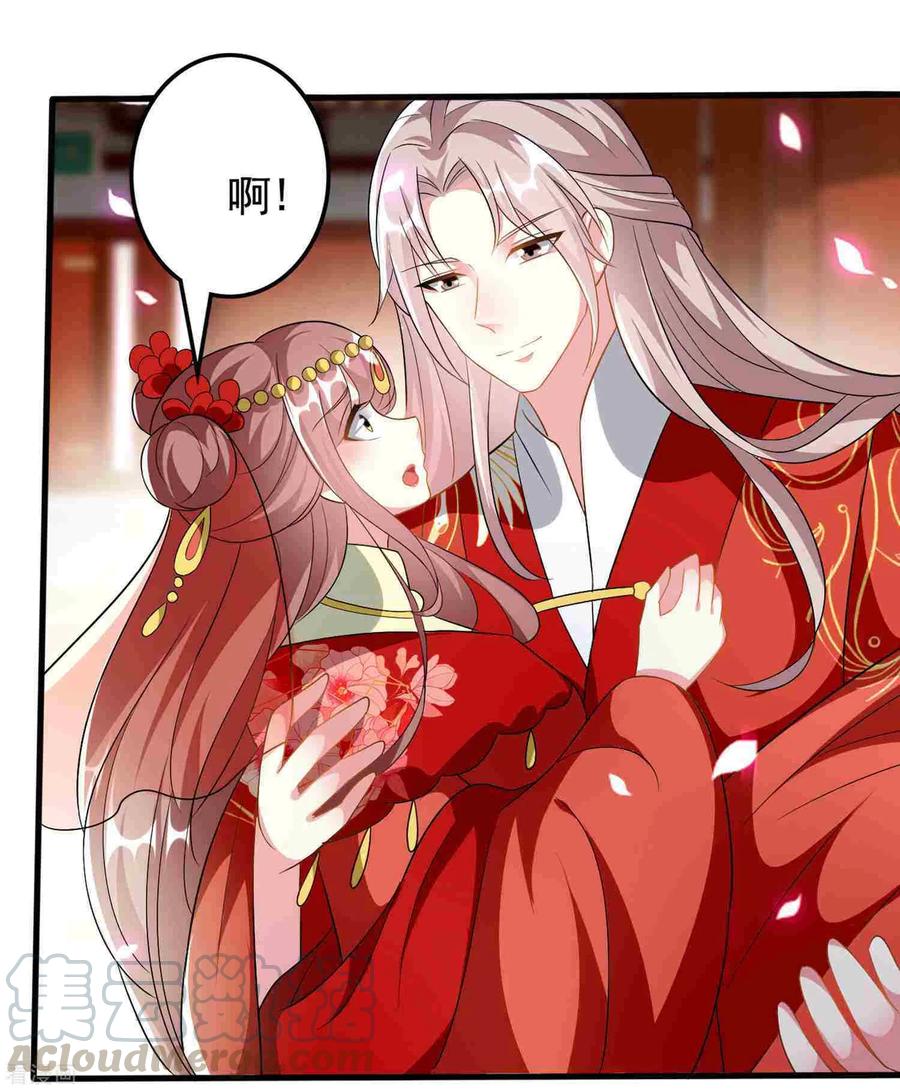 坏心王爷别惹我221话 公主大婚