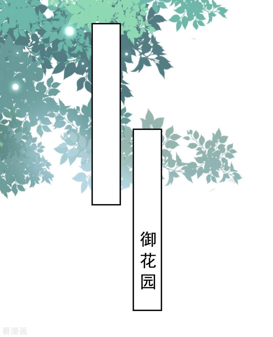 坏心王爷别惹我237话 林妃的心机