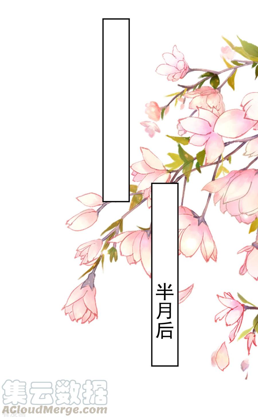 坏心王爷别惹我240话 小太子