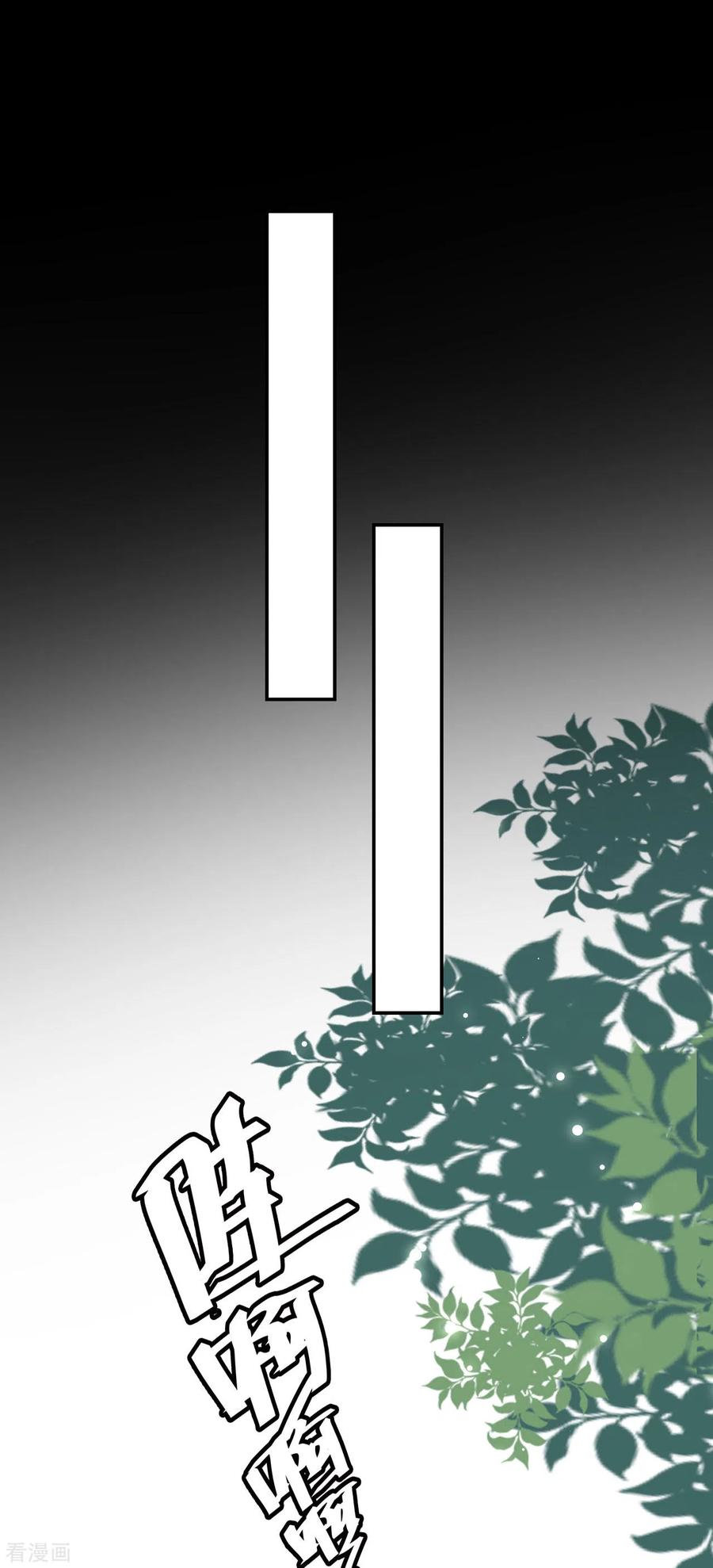 坏心王爷别惹我240话 小太子