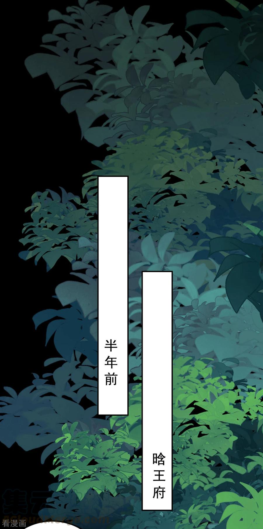 坏心王爷别惹我246话 莲妃往事