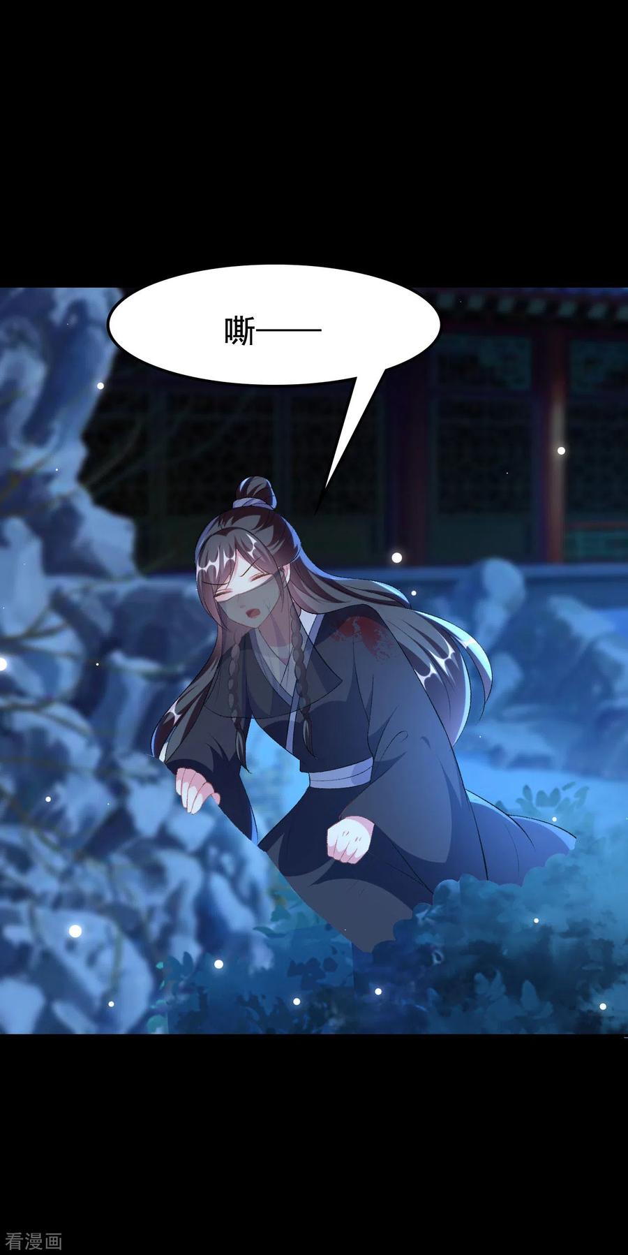 坏心王爷别惹我247话 刺杀小太子
