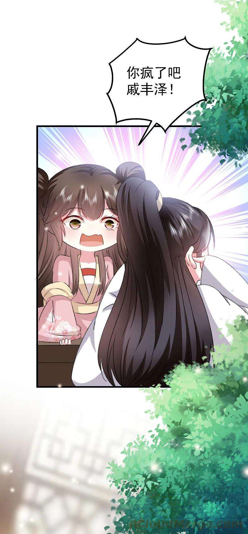 坏心王爷别惹我278话 争风吃醋