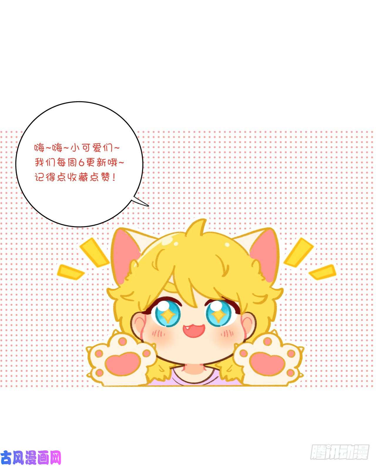 男生宿舍303养狗现场