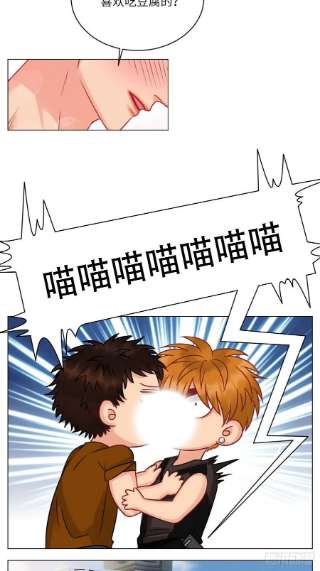 男生宿舍303不吃软饭吃豆腐