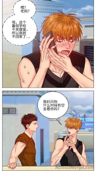 男生宿舍303不吃软饭吃豆腐