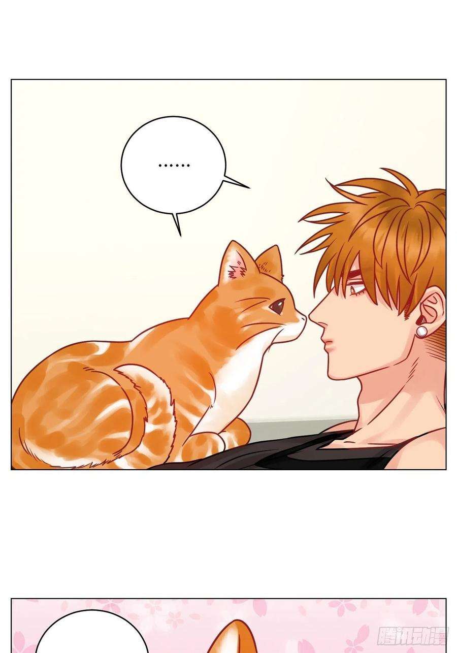 男生宿舍303阿晏的属性又增加了！