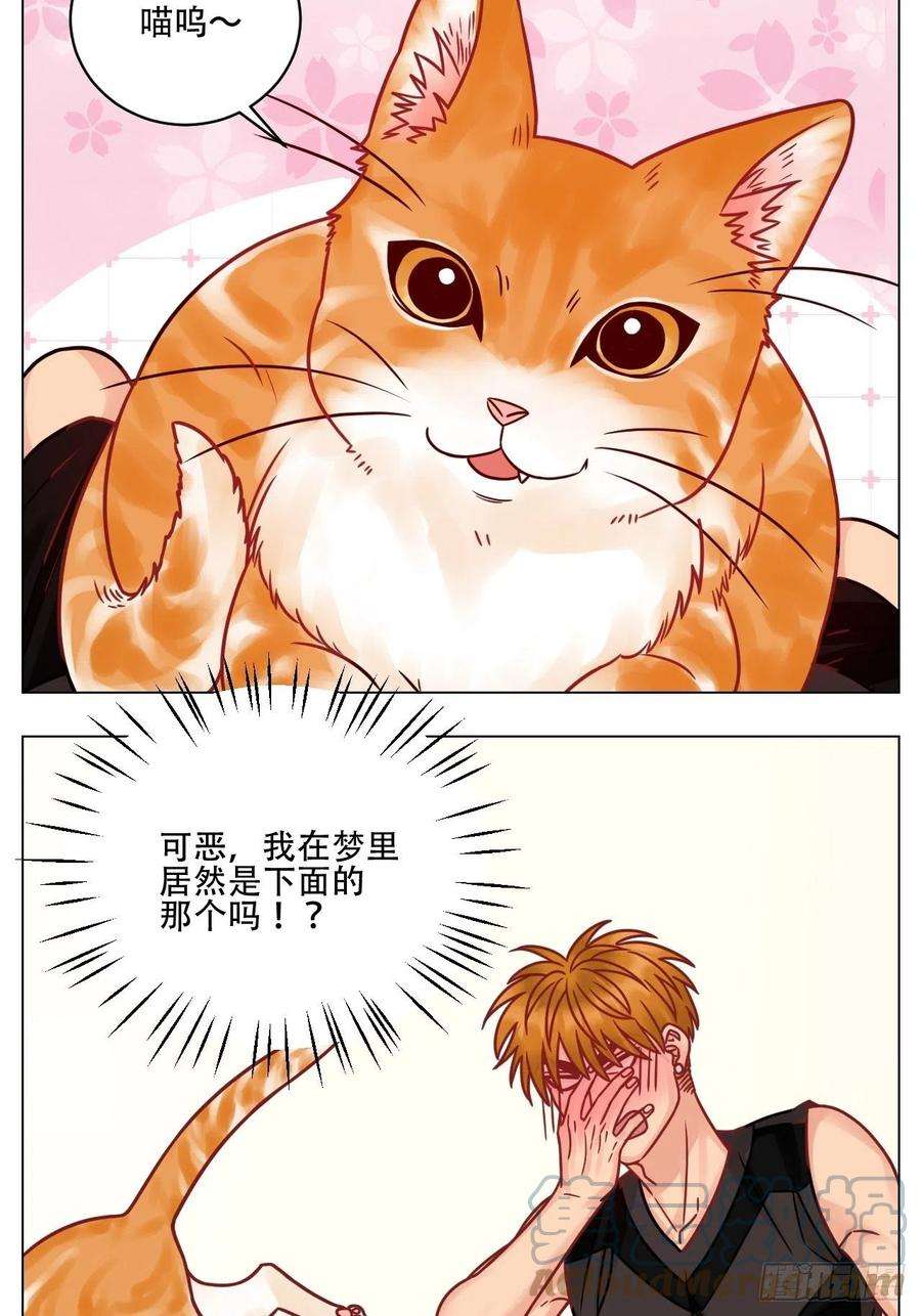 男生宿舍303阿晏的属性又增加了！