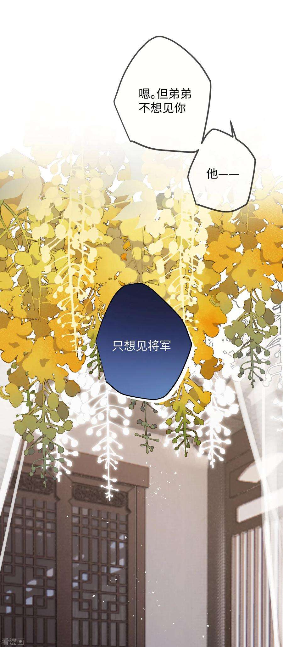 炮灰公主想苟到最后65话 她的印记