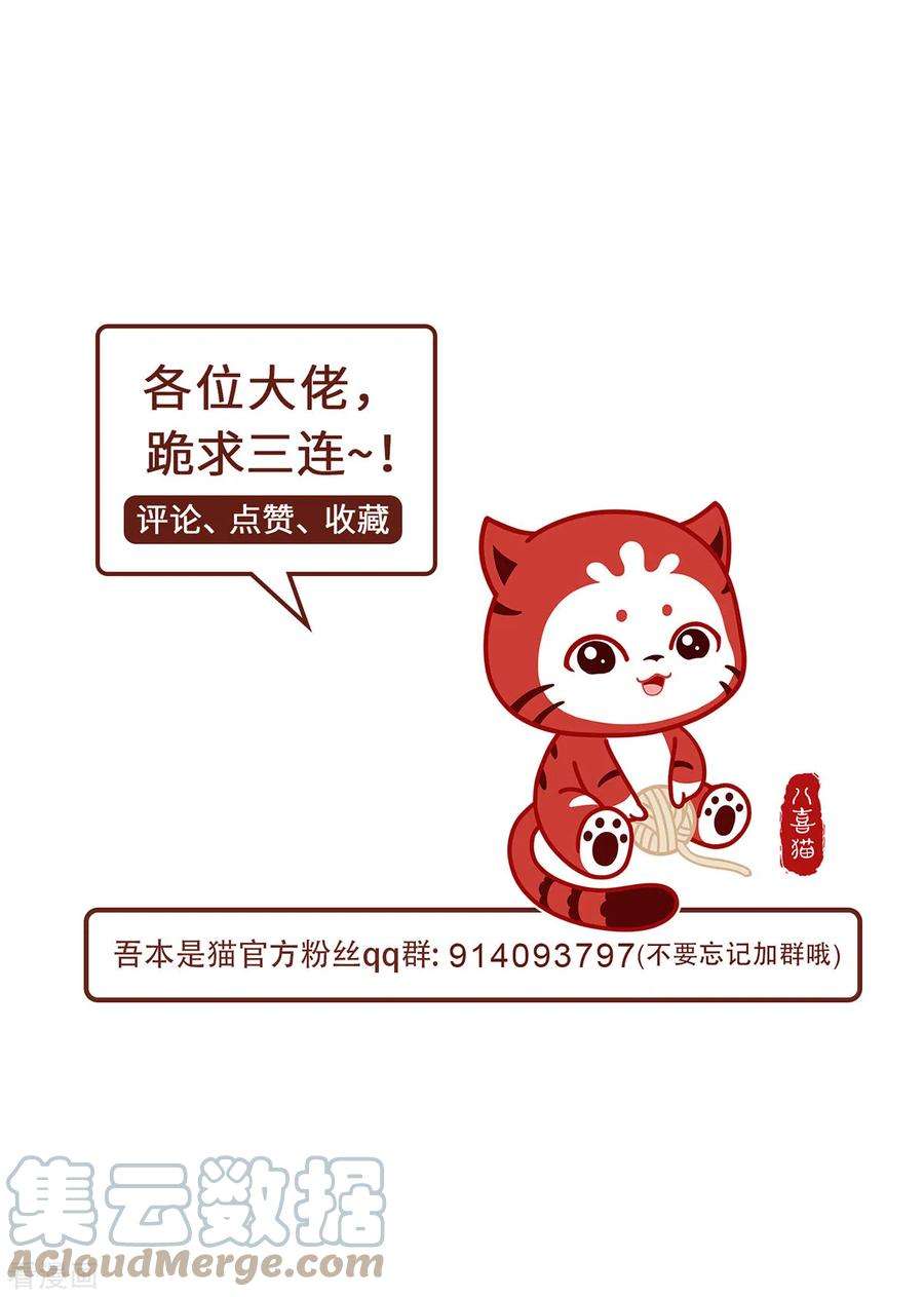 吾本是猫66话 试探