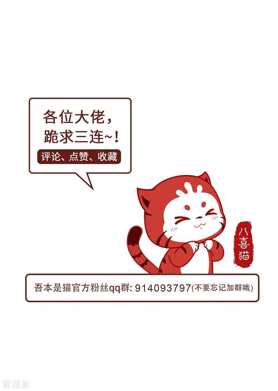吾本是猫74话 对峙