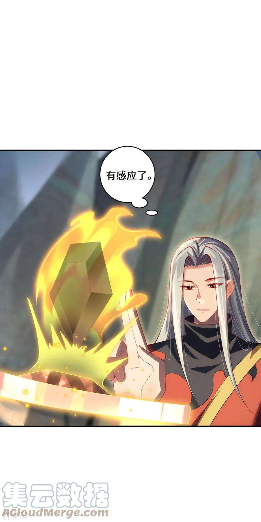 吾本是猫75话 同生咒