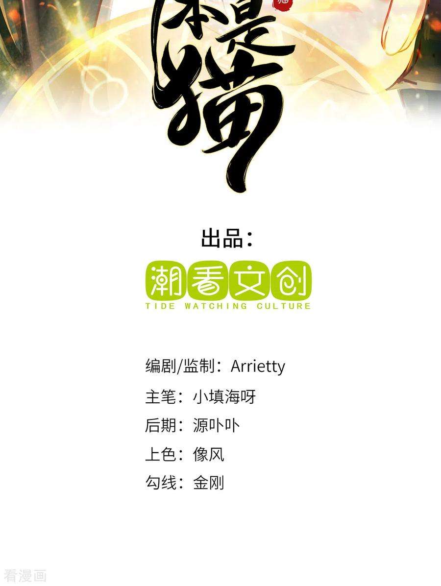 吾本是猫80话 上古轶事