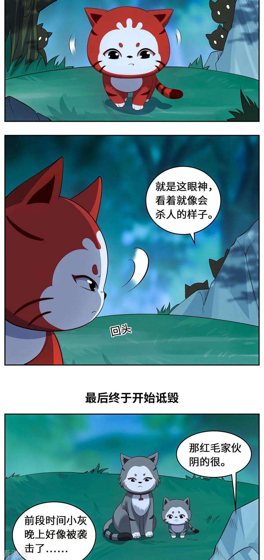 吾本是猫84话 合作