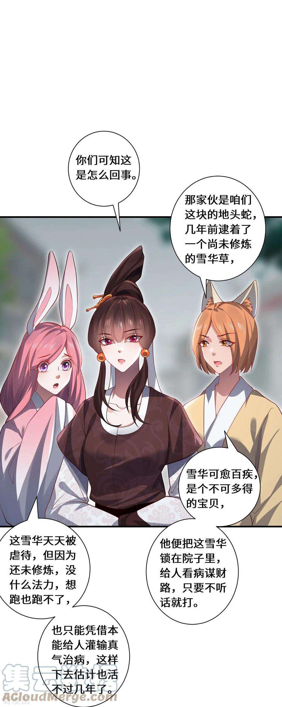 吾本是猫85话 青丘