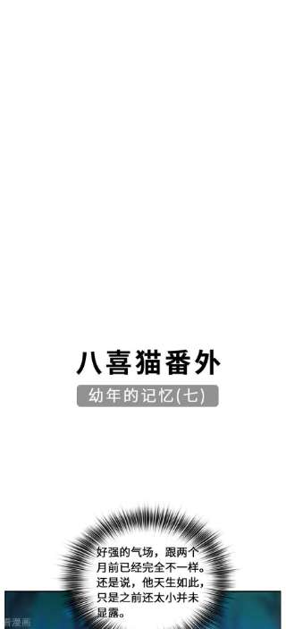 吾本是猫86话 玄机