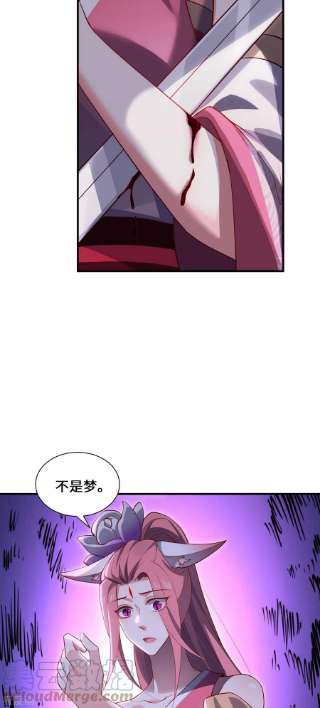 吾本是猫86话 玄机