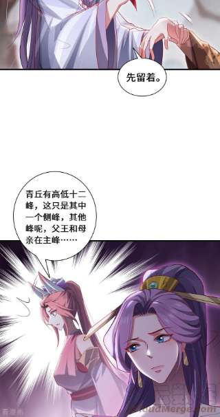 吾本是猫86话 玄机