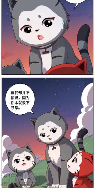 吾本是猫91话 陌路