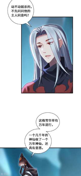 吾本是猫91话 陌路