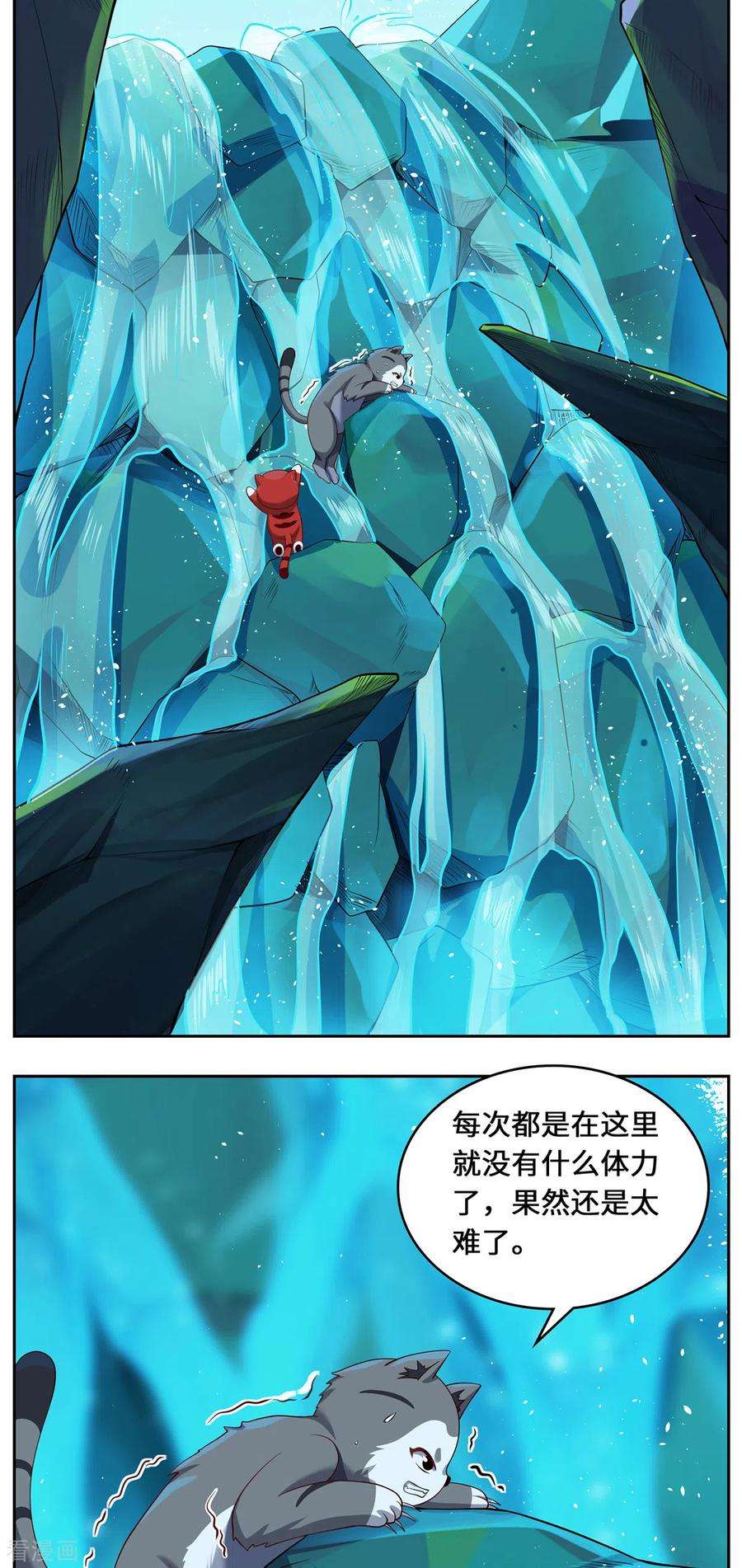 吾本是猫96话 神识之争