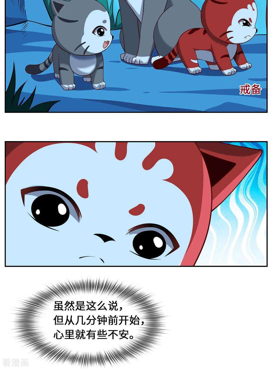 吾本是猫99话 硝烟