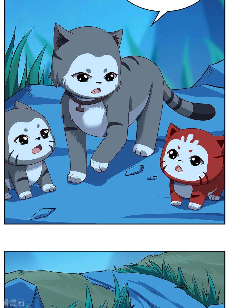 吾本是猫99话 硝烟