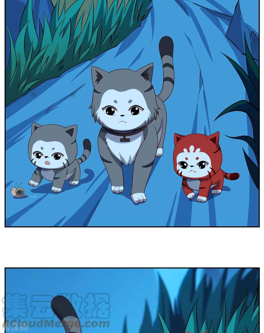 吾本是猫99话 硝烟