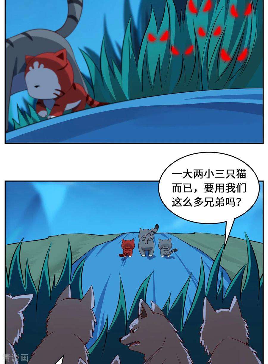 吾本是猫99话 硝烟