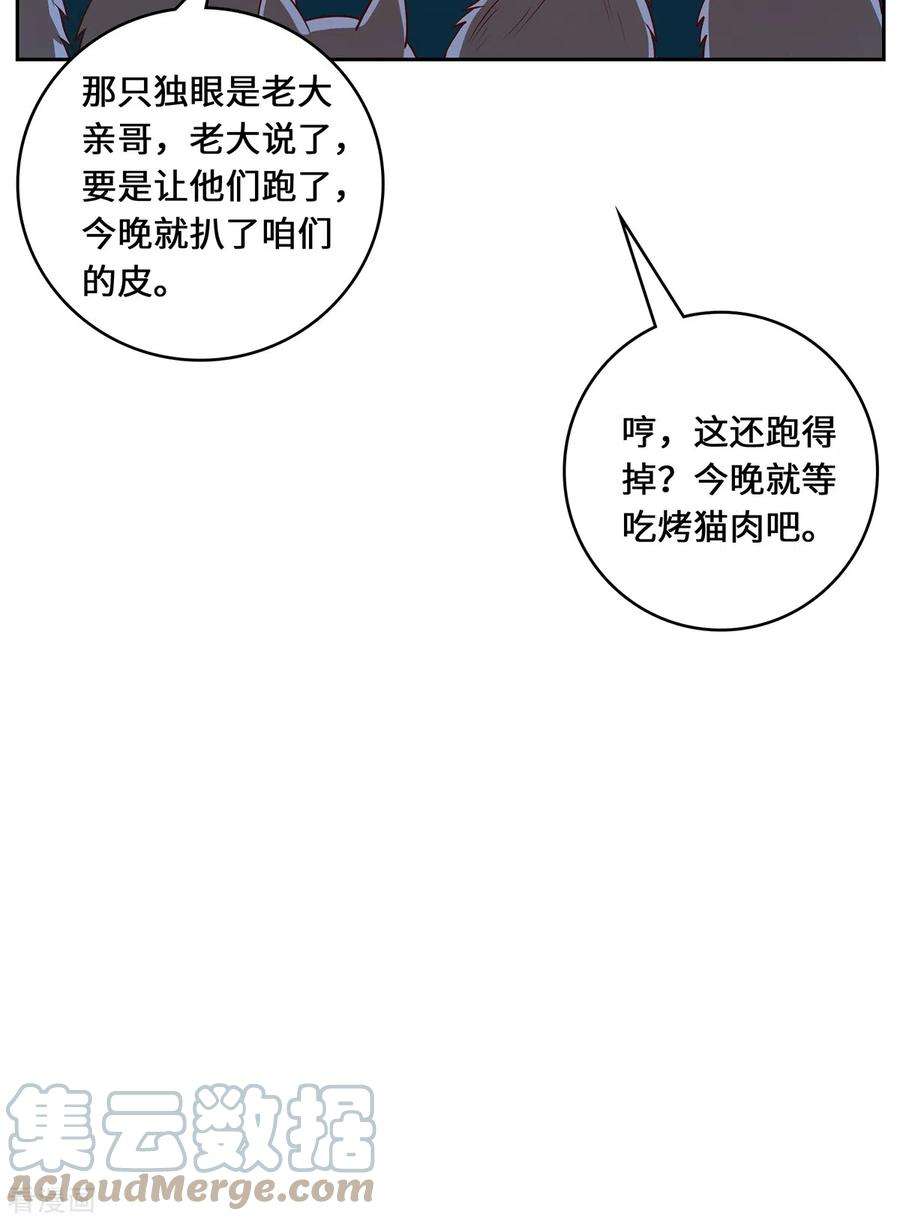 吾本是猫99话 硝烟