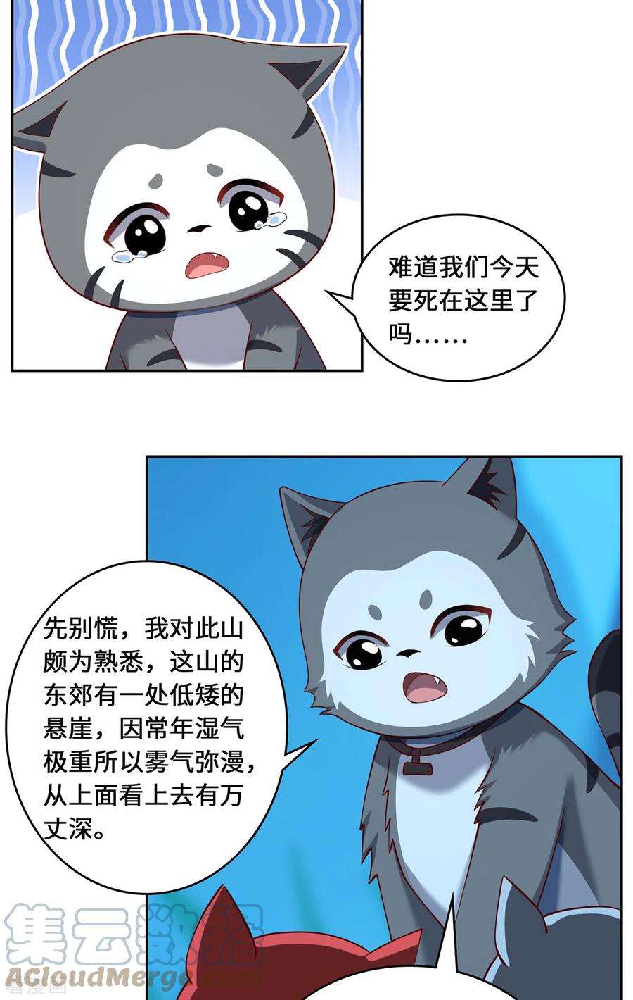 吾本是猫100话 迎战
