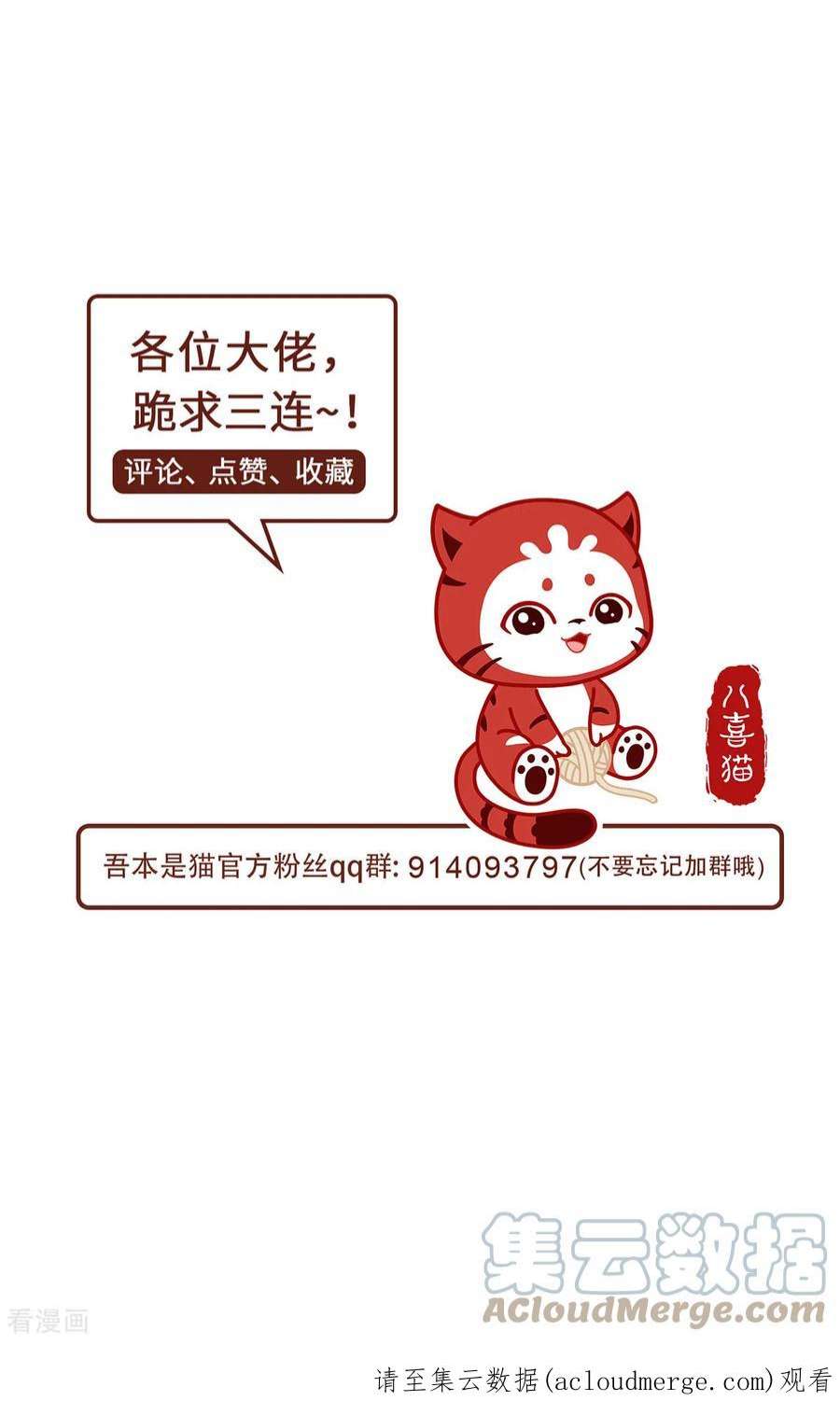 吾本是猫100话 迎战