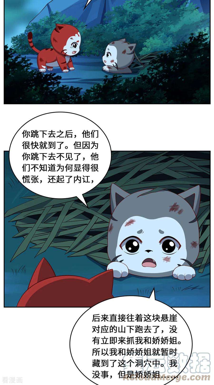 吾本是猫104话 埋伏