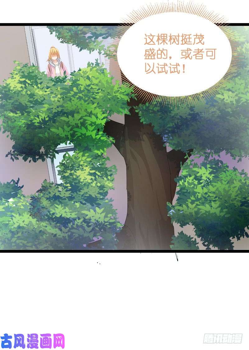 影后老婆不许逃第105话：第一次相遇