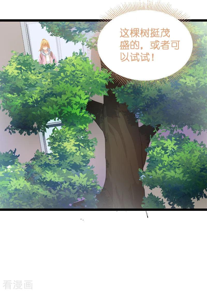 影后老婆不许逃105话 第一次相遇