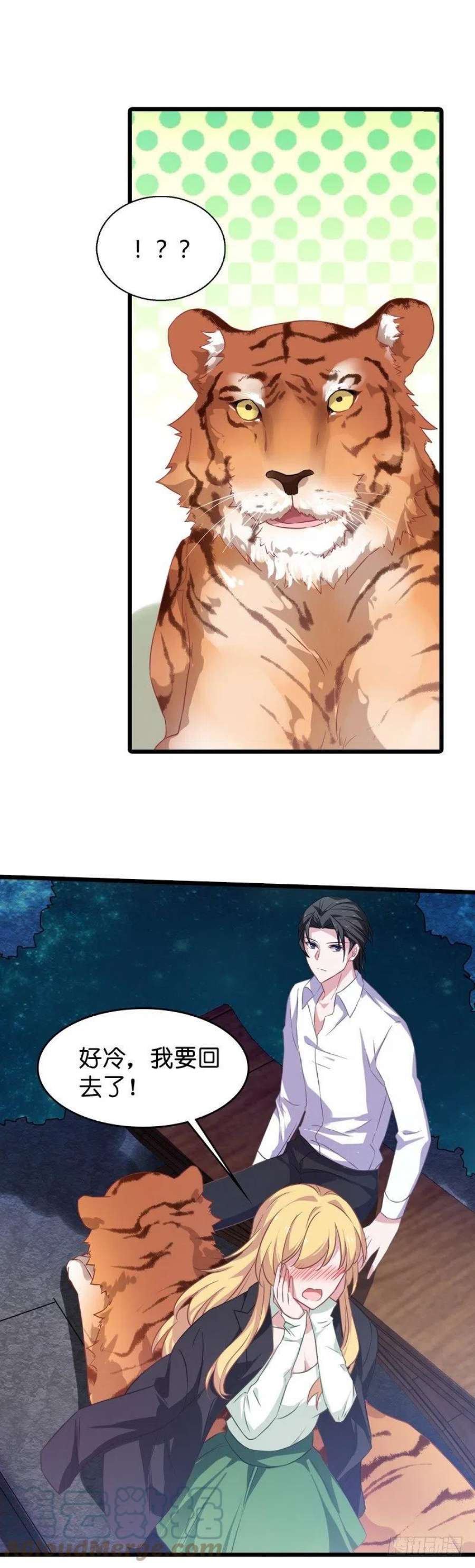 影后老婆不许逃32话：撸猫技巧