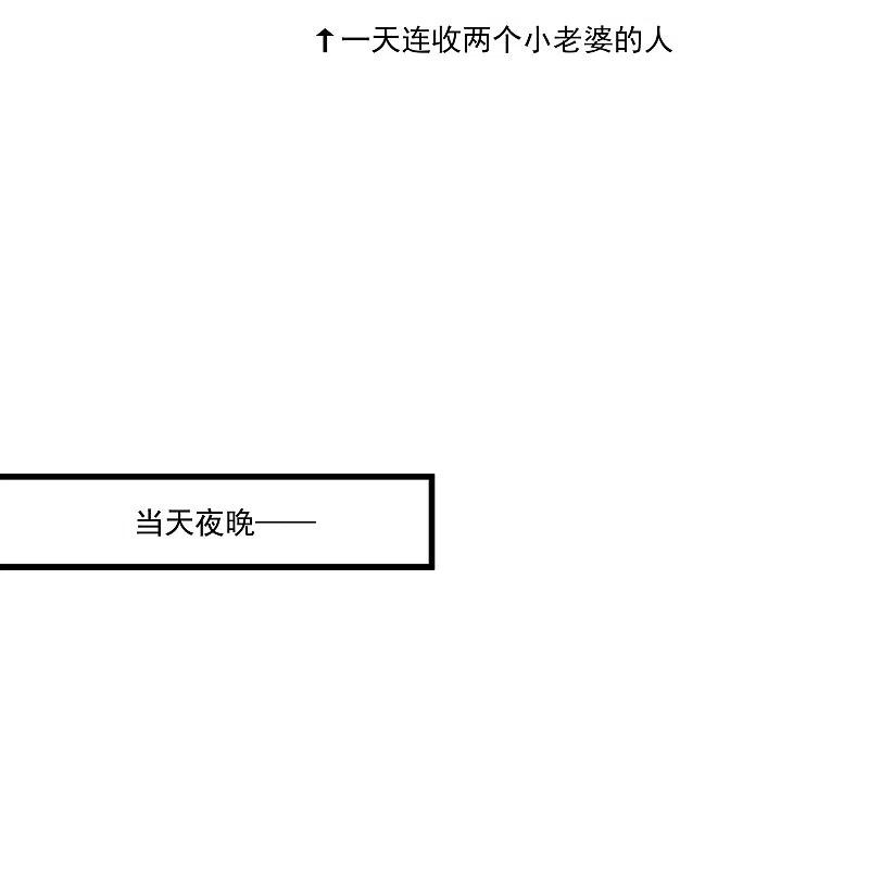 绝品医圣239话 承接广告