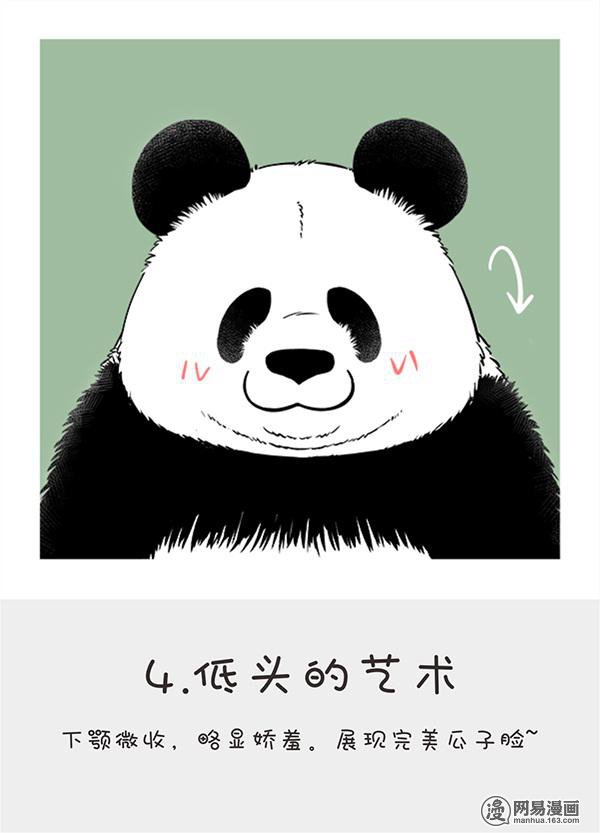 快把动物放进冰箱152 cheese老师自拍瘦脸秘籍