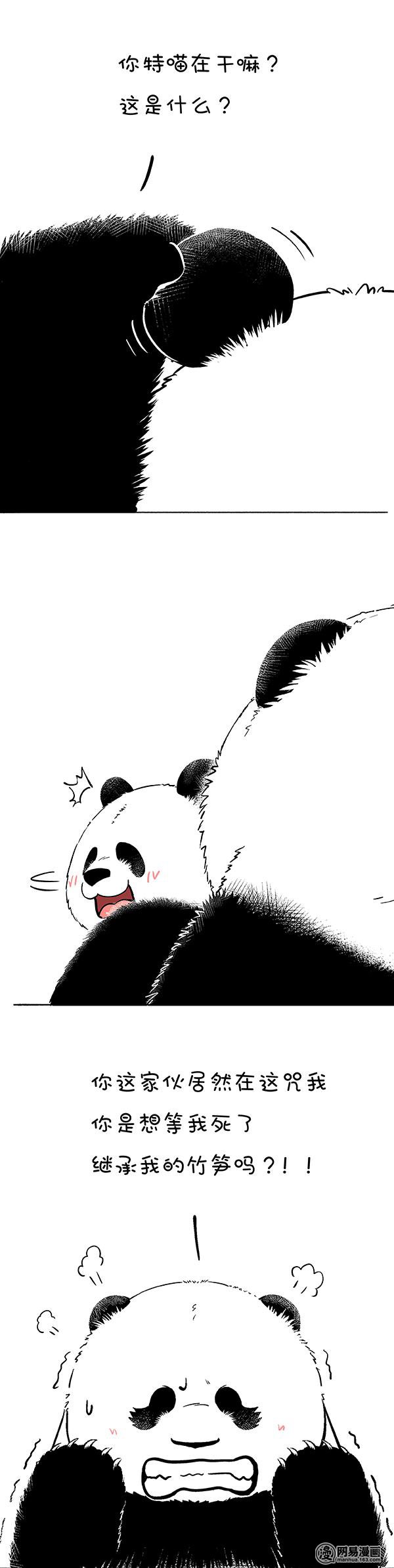快把动物放进冰箱154 有些话我只放在心里