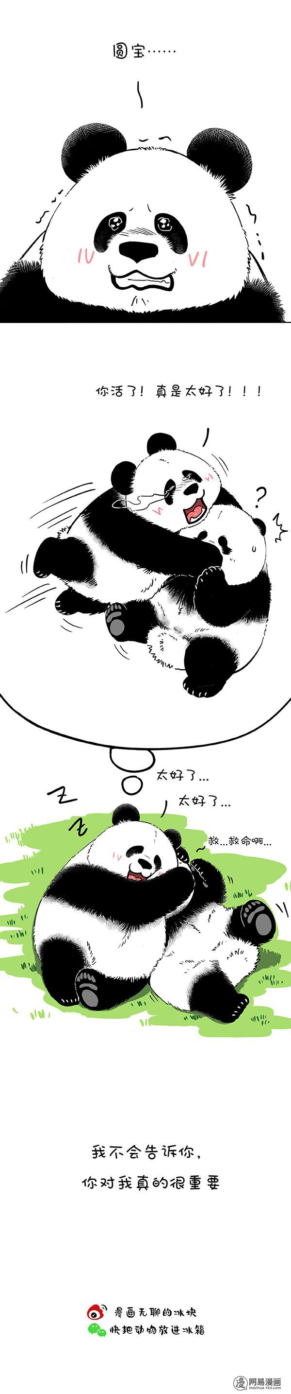 快把动物放进冰箱154 有些话我只放在心里