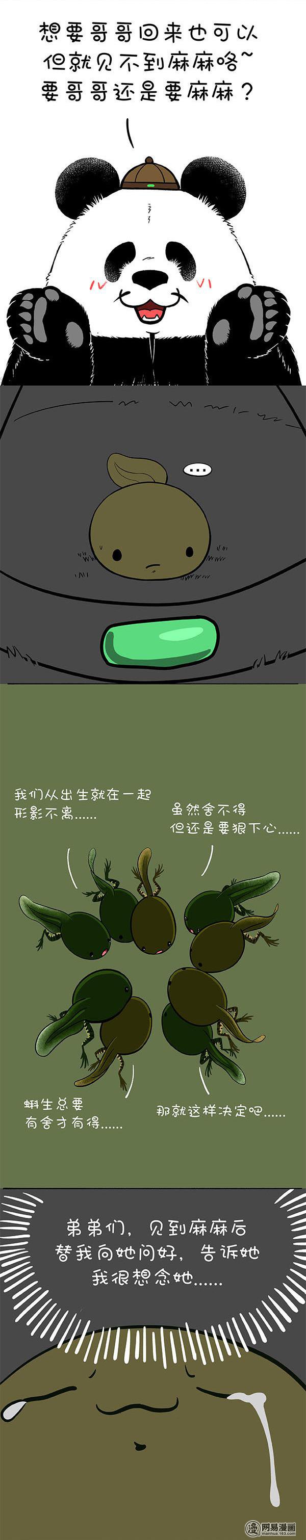 快把动物放进冰箱156 生命中最重要的