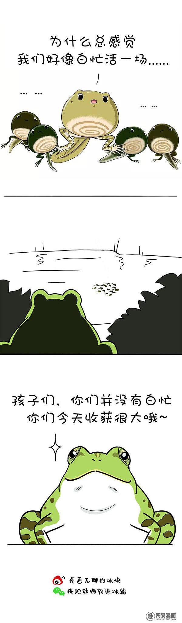 快把动物放进冰箱156 生命中最重要的