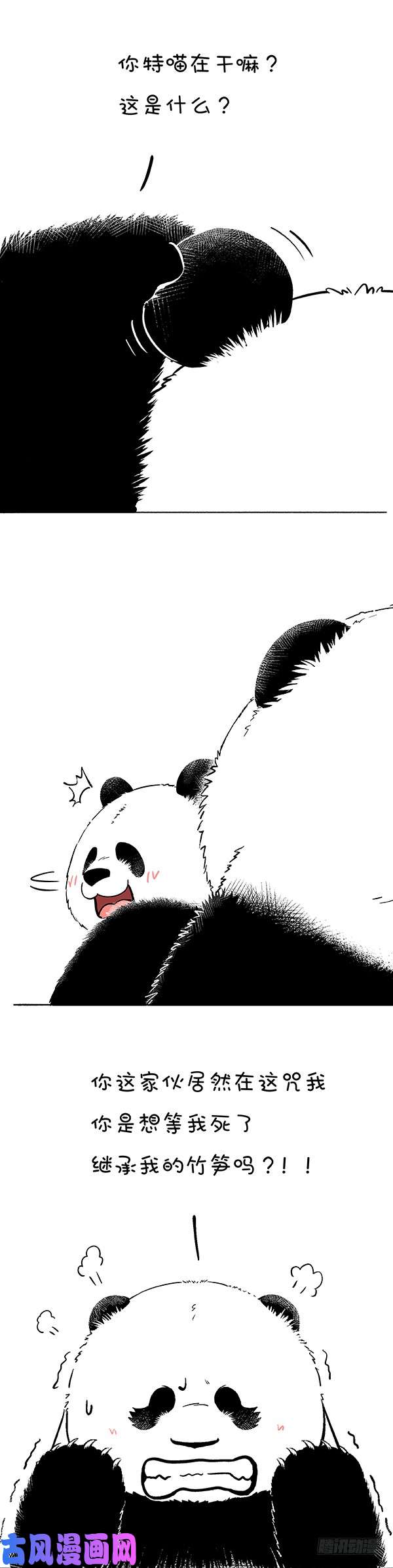 快把动物放进冰箱154有些话我只放在心里