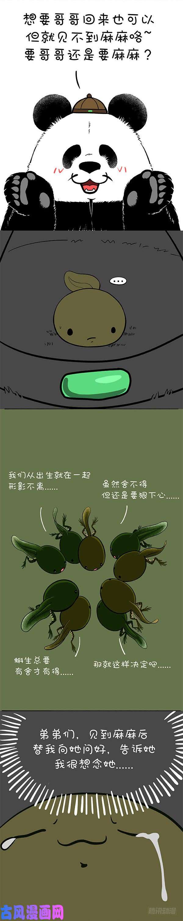 快把动物放进冰箱156生命中最重要的