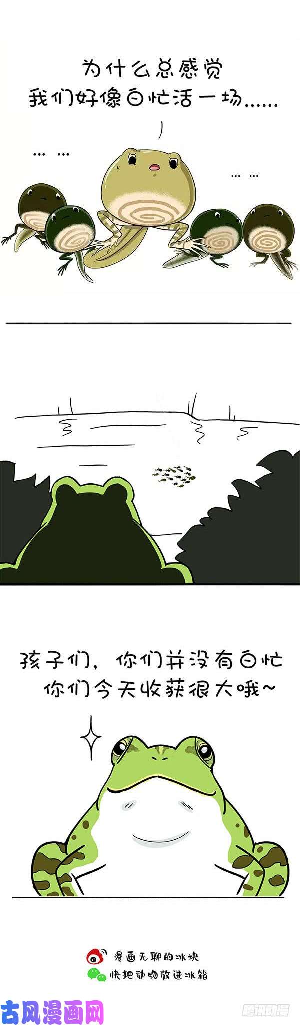 快把动物放进冰箱156生命中最重要的