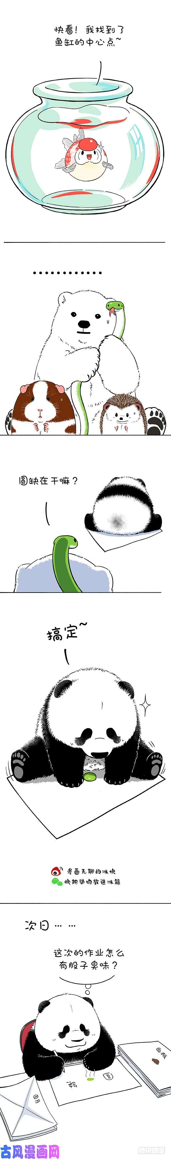 快把动物放进冰箱160现在小学生的题真难