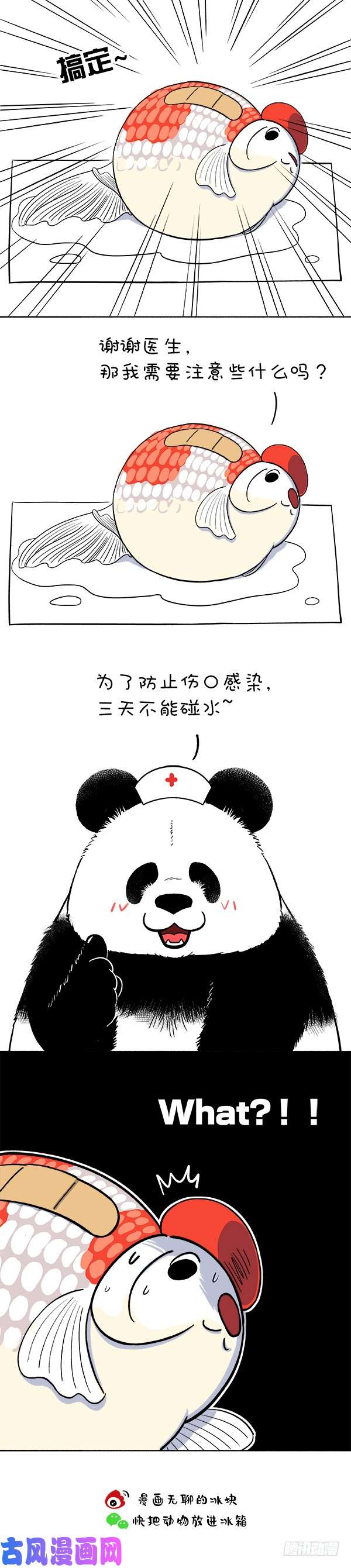 快把动物放进冰箱161我觉得我还能抢救一下