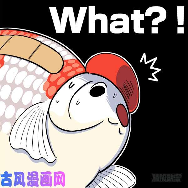 快把动物放进冰箱161我觉得我还能抢救一下